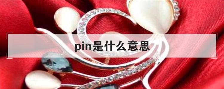 pin是什么意思