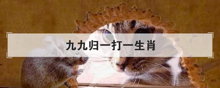 九九归一打一生肖