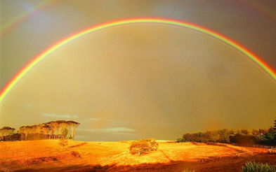 rainbow是什么意思