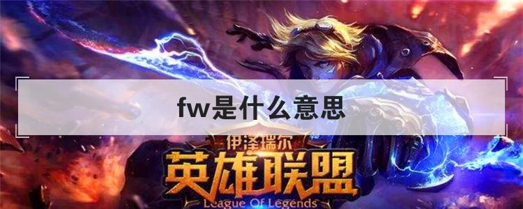 fw是什么意思