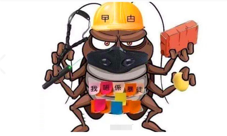 曱甴是什么意思