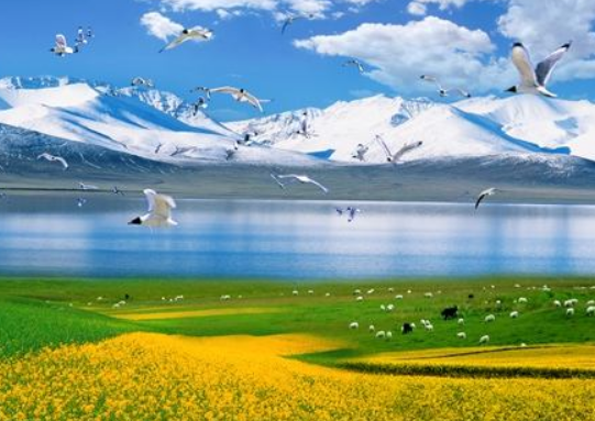 青海是哪个省