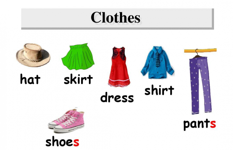 clothes是什么意思