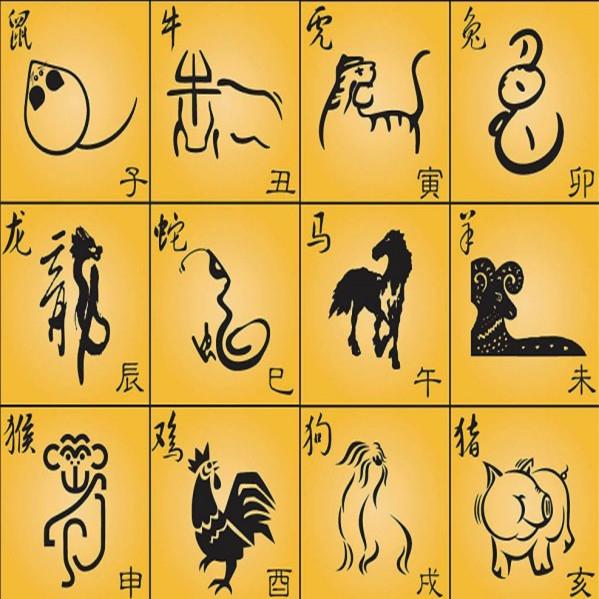 天肖是哪几肖