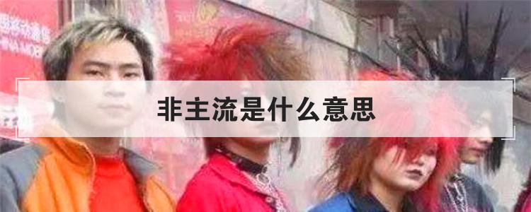 非主流是什么意思