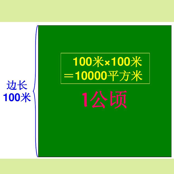 平方米和公顷的进率是多少？