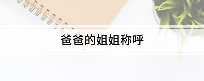爸爸的姐姐称呼