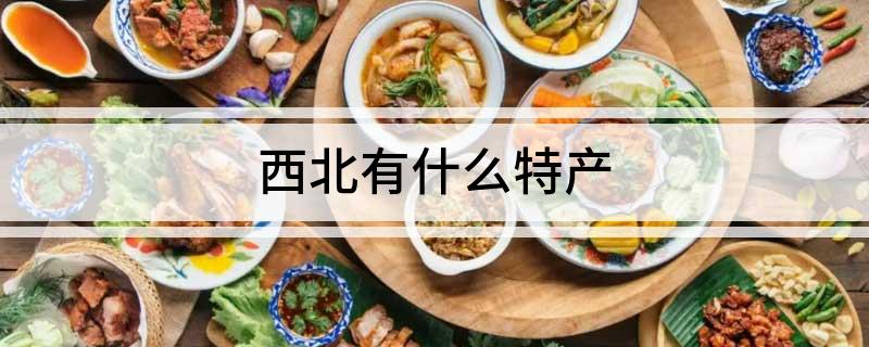 西北有什么特产