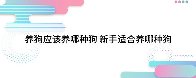 养狗应该养哪种狗