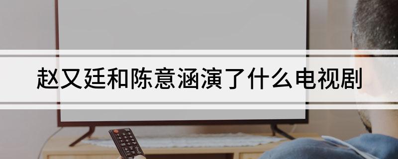 赵又廷和陈意涵演了什么电视剧