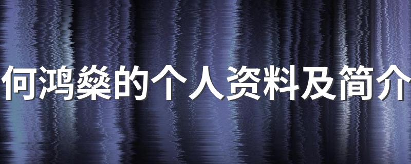 何鸿燊介绍_何鸿燊的个人资料及简介