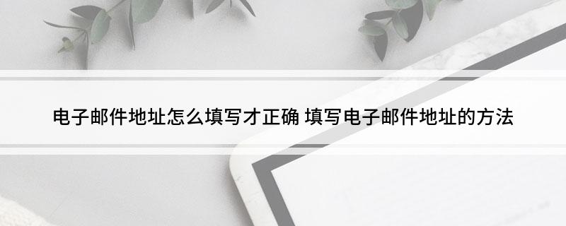 电子邮件地址怎么填写才正确