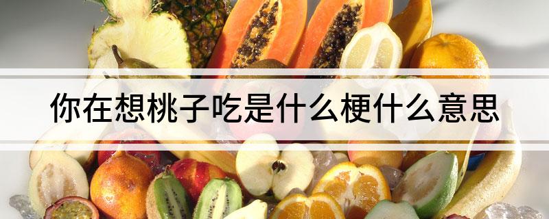 你在想桃子吃是什么梗什么意思