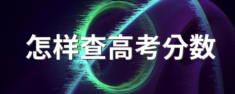 这五种查询方式都是可以的_怎样查高考分数