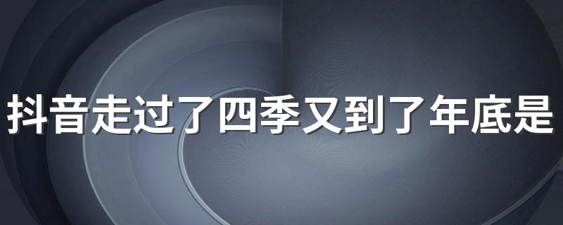 走过了四季又到了年底是什么歌_抖音走过了四季又到了年底是什么歌