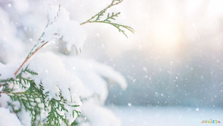 春雪诗句大全唯美