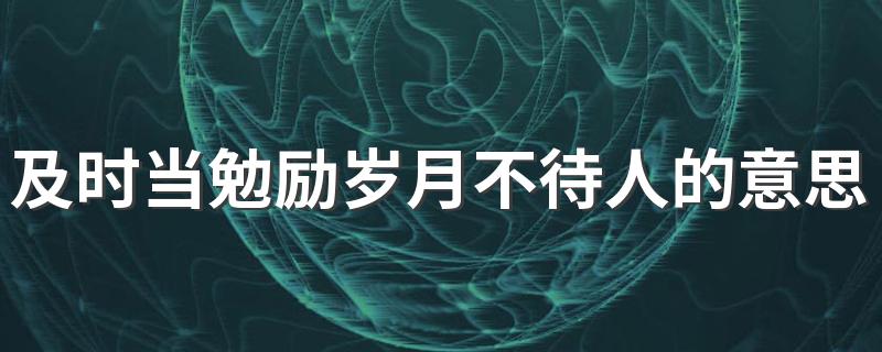如何理解及时当勉励岁月不待人这句话的意思_及时当勉励岁月不待人的意思