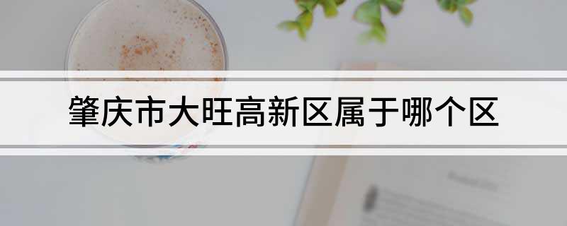 肇庆市大旺高新区属于哪个区