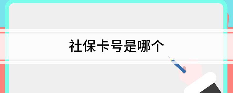 社保卡号是哪个