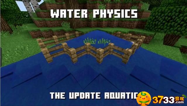20823767.jpg