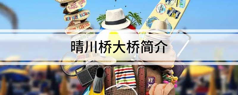晴川桥大桥简介