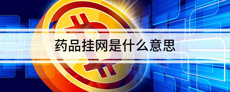 药品挂网是什么意思