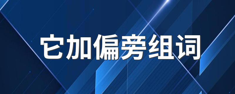 它加偏旁可以组成什么词_它加偏旁组词