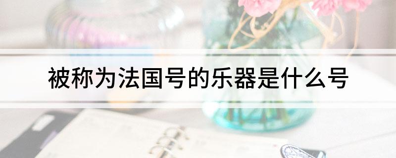 被称为法国号的乐器是什么号
