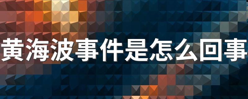 具体经过什么_黄海波事件是怎么回事