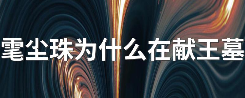 雮尘珠是什么_雮尘珠为什么在献王墓