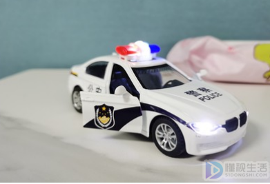 在我国有权发布通缉令的是