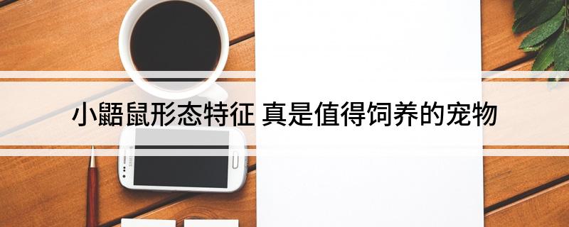 小鼯鼠形态特征(真是值得饲养的宠物)