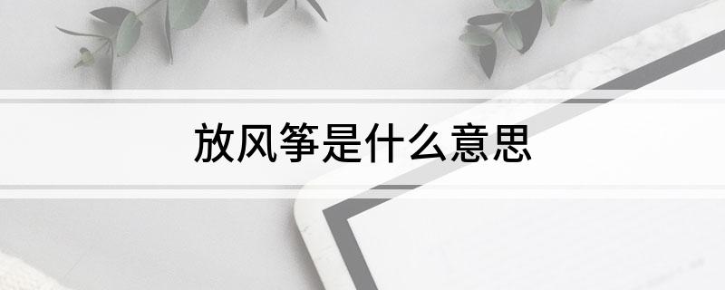 放风筝是什么意思