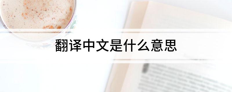 翻译中文是什么意思
