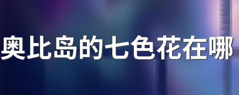 奥比岛的简介_奥比岛的七色花在哪