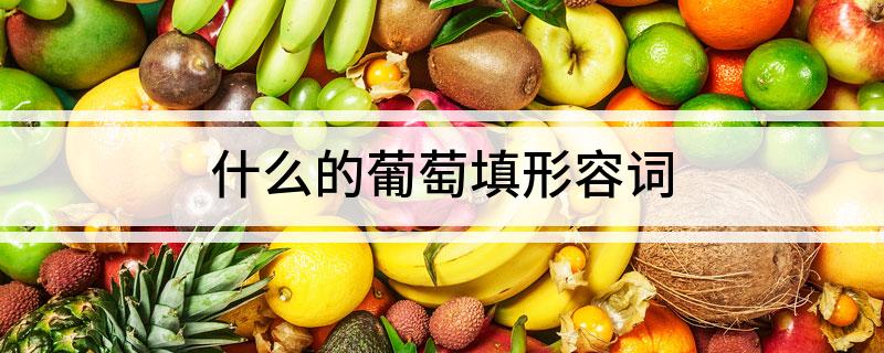 什么的葡萄填形容词