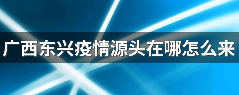 广西东兴疫情源头在哪怎么来的