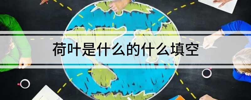 荷叶是什么的什么填空