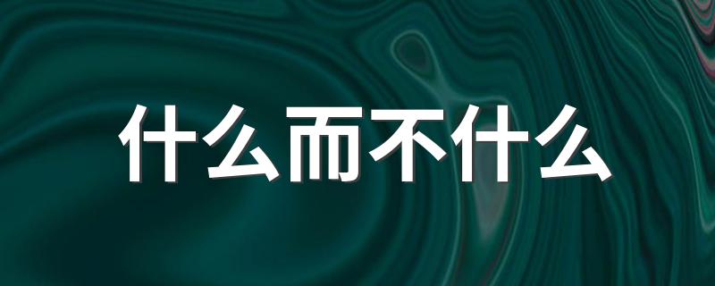 分别有哪些成语_什么而不什么