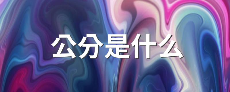 公分简介_公分是什么