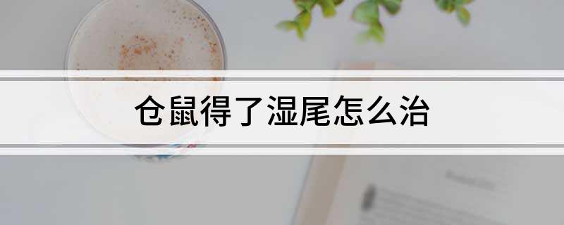 仓鼠得了湿尾怎么治
