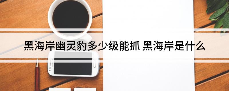 黑海岸幽灵豹多少级能抓(黑海岸是什么)