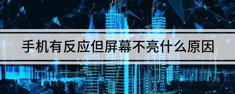 手机有反应但屏幕不亮(手机有反应但屏幕不亮什么原因)