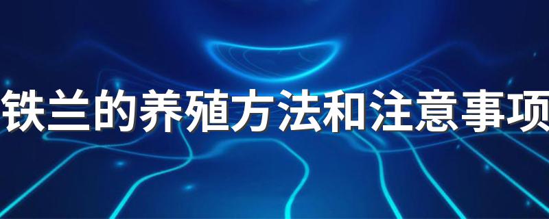 简单介绍一下_铁兰的养殖方法和注意事项