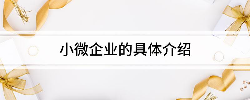 小微企业的具体介绍