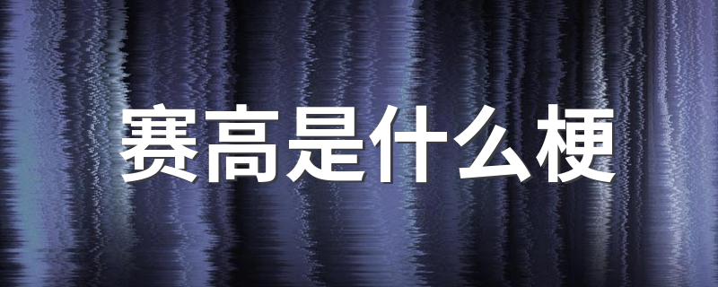 赛高的意思_赛高是什么梗