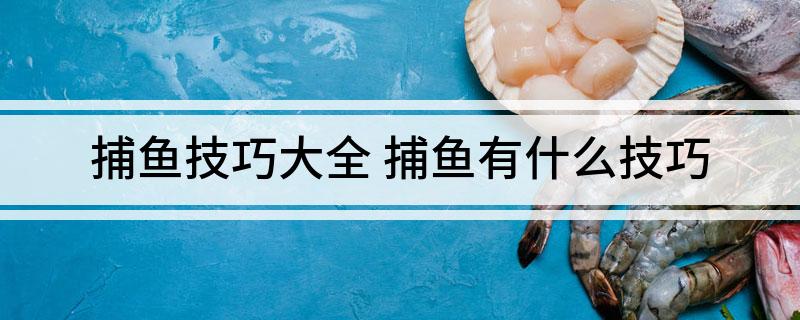 捕鱼技巧大全