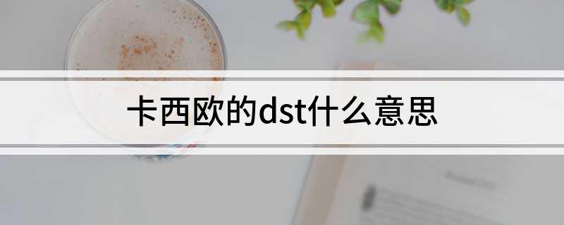 卡西欧的dst什么意思