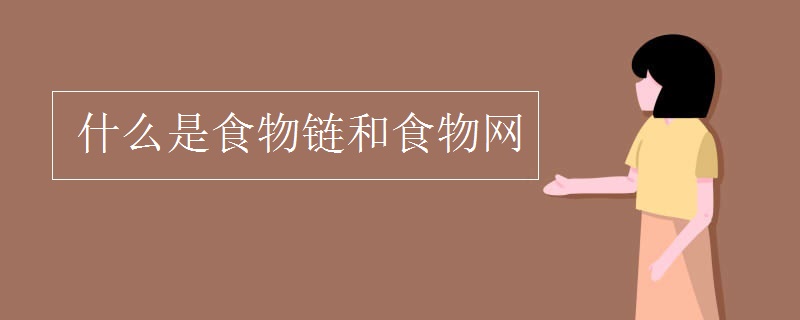 什么是食物链和食物网
