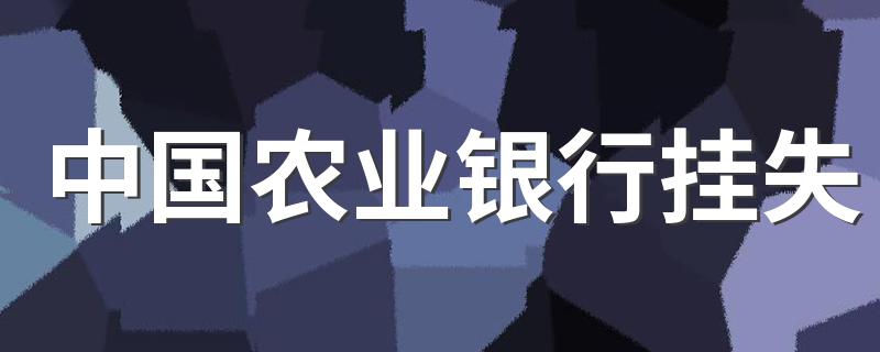 中国农业银行挂失流程_中国农业银行挂失